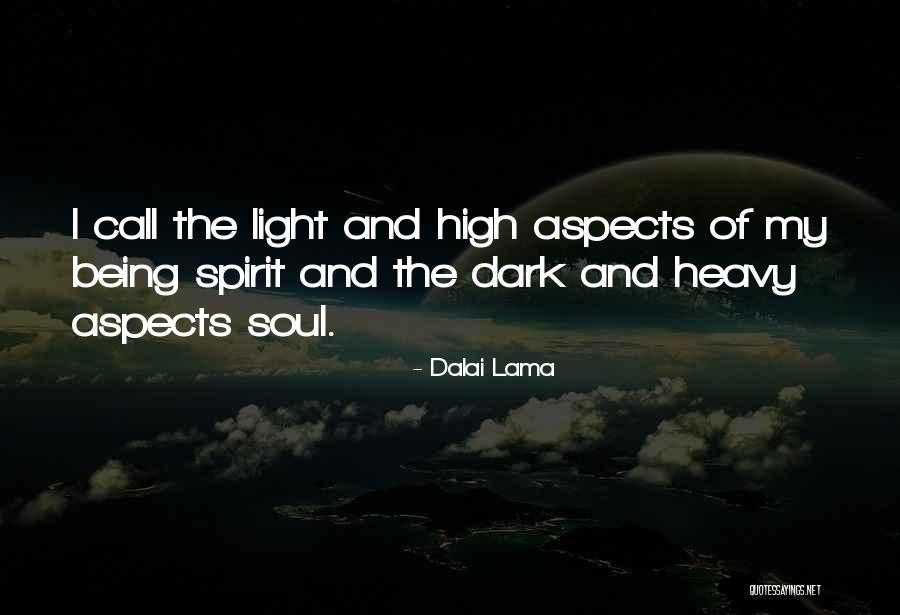 The Soul Quotes By Dalai Lama