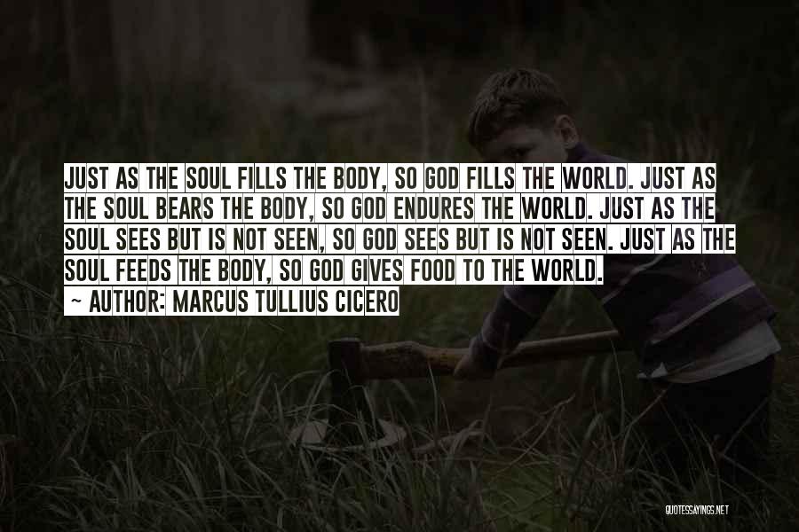 The Soul Quotes By Marcus Tullius Cicero