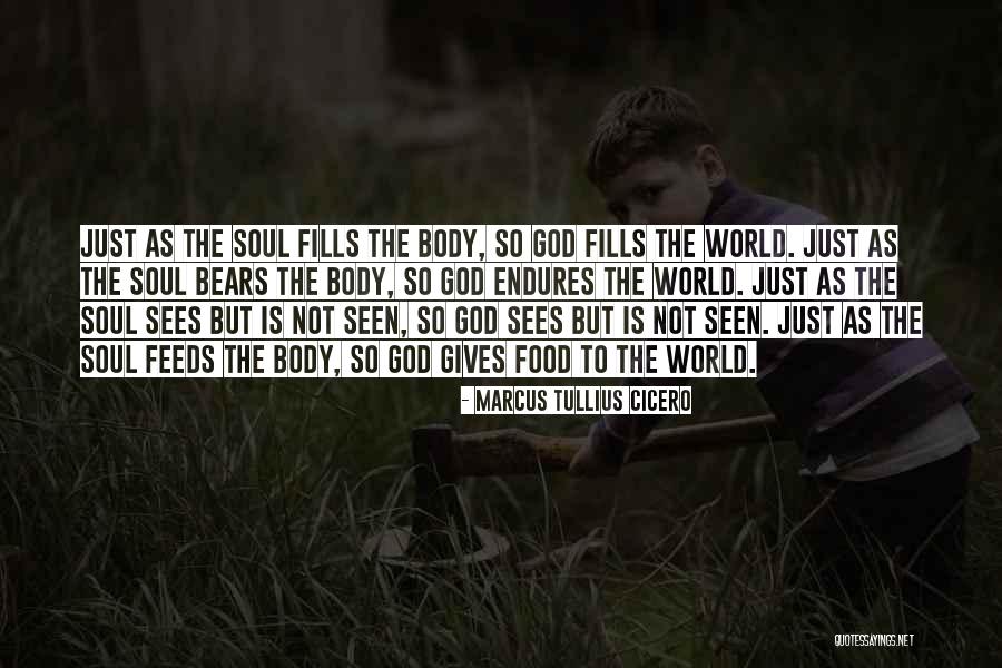 The Soul Quotes By Marcus Tullius Cicero