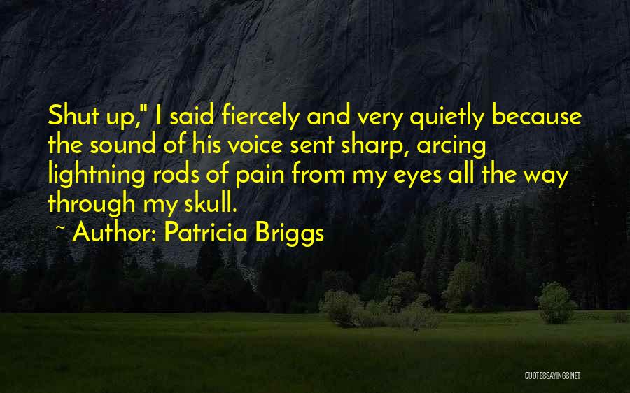 The Sound Of His Voice Quotes By Patricia Briggs