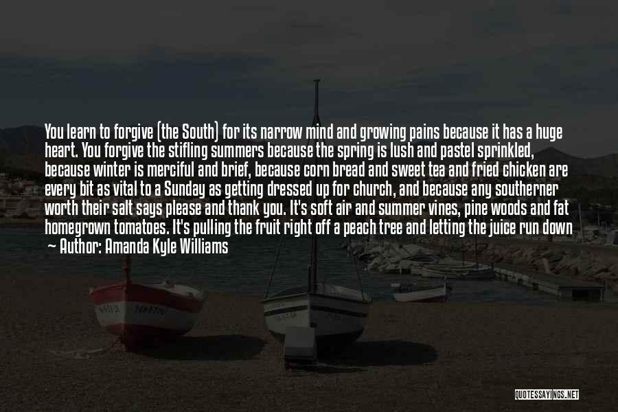 The South And Sweet Tea Quotes By Amanda Kyle Williams