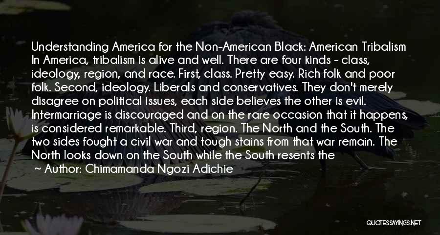 The South In The Civil War Quotes By Chimamanda Ngozi Adichie