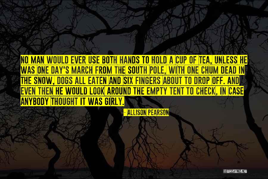 The South Pole Quotes By Allison Pearson The South Pole Quotes By Allison Pearson