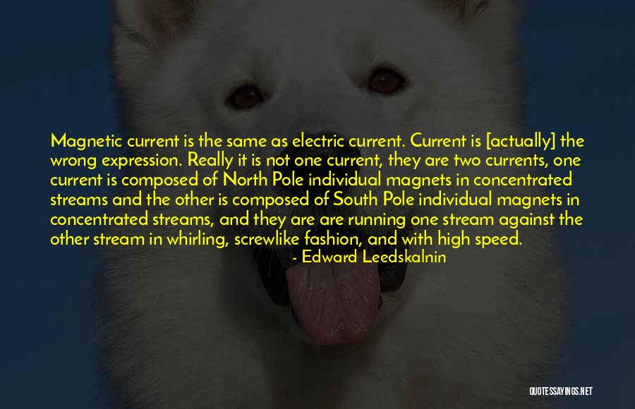 The South Pole Quotes By Edward Leedskalnin The South Pole Quotes By Edward Leedskalnin