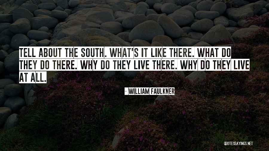 The South William Faulkner Quotes By William Faulkner