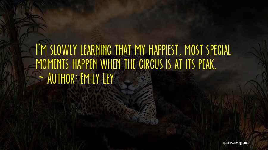 The Special Moments Quotes By Emily Ley