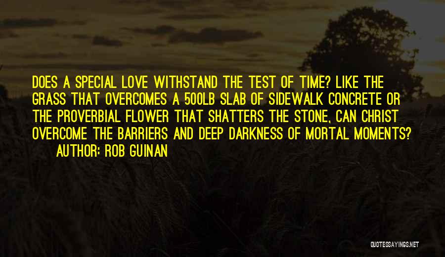 The Special Moments Quotes By Rob Guinan