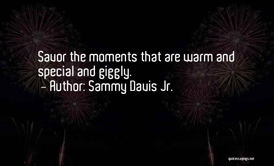 The Special Moments Quotes By Sammy Davis Jr.