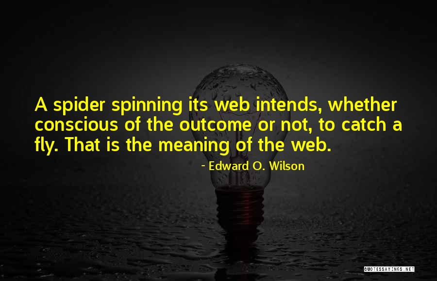 The Spider Quotes By Edward O. Wilson The Spider Quotes By Edward O. Wilson