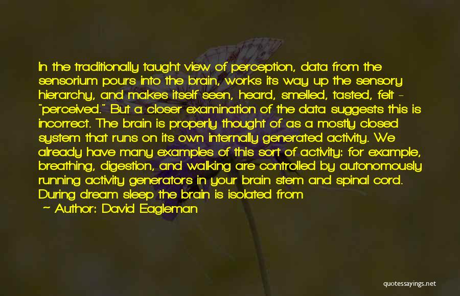 The Spinal Cord Perception Quotes By David Eagleman