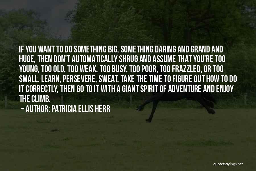 The Spirit Of Adventure Quotes By Patricia Ellis Herr