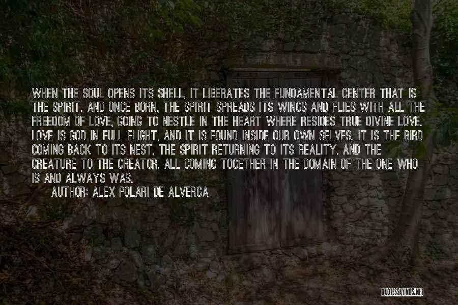 The Spirit Quotes By Alex Polari De Alverga