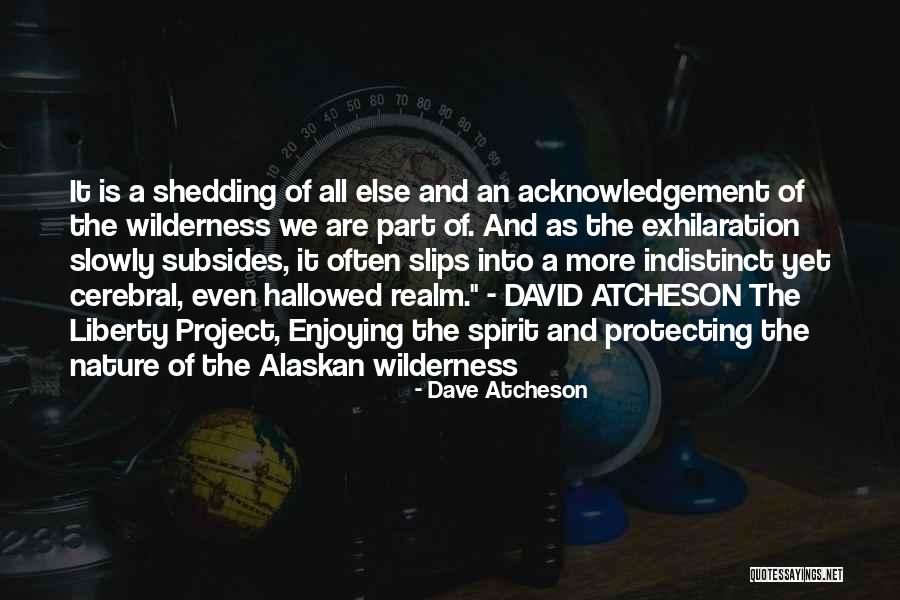 The Spirit Realm Quotes By Dave Atcheson The Spirit Realm Quotes By Dave Atcheson