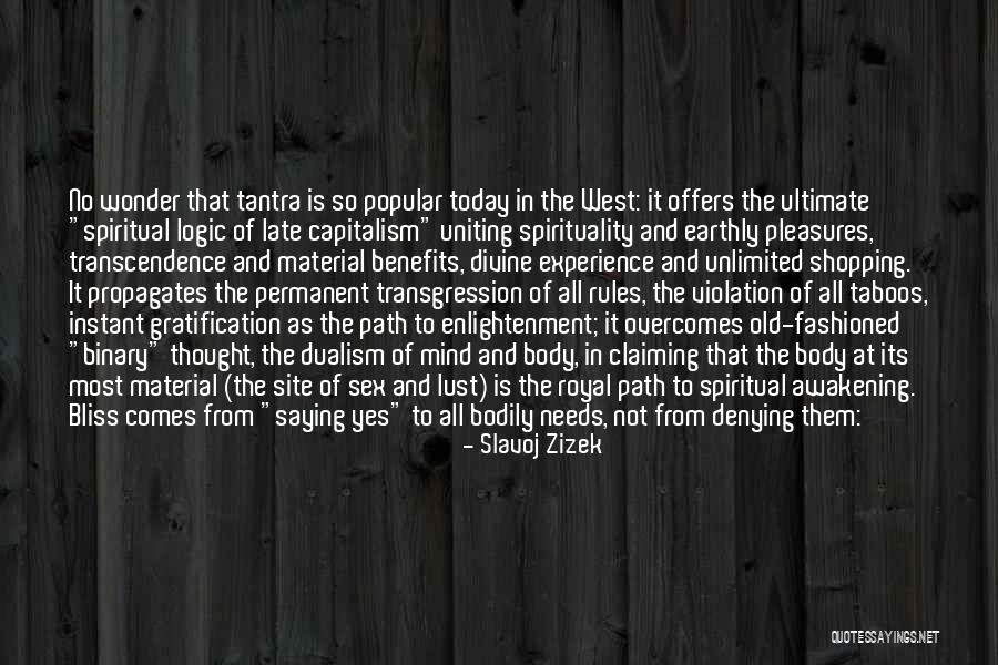 The Spiritual Path Quotes By Slavoj Zizek