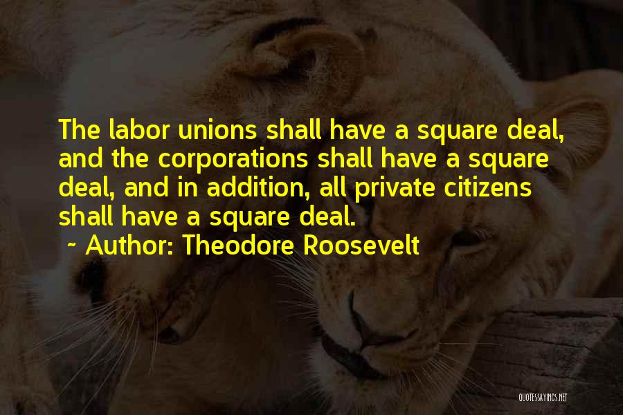 The Square Deal Quotes By Theodore Roosevelt