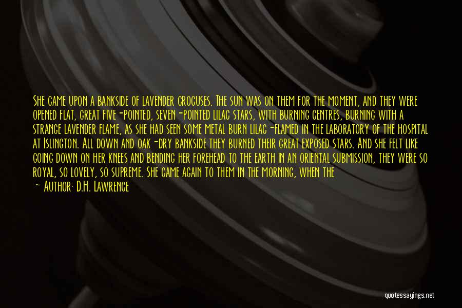 The Stars And Stripes Quotes By D.H. Lawrence