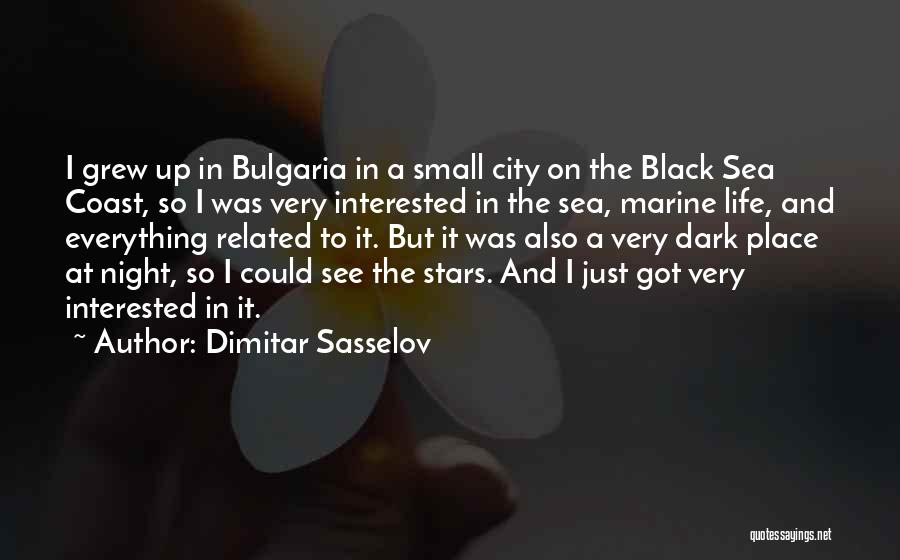 The Stars At Night Quotes By Dimitar Sasselov