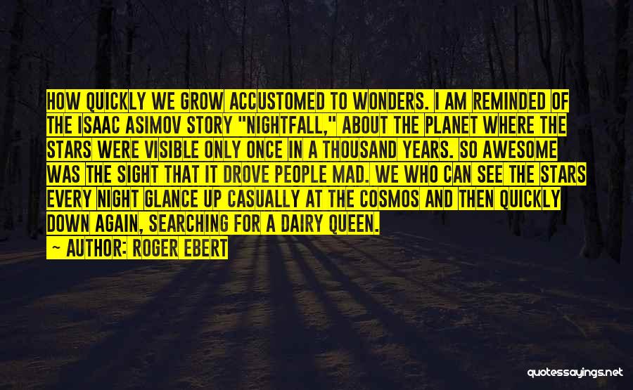 The Stars At Night Quotes By Roger Ebert