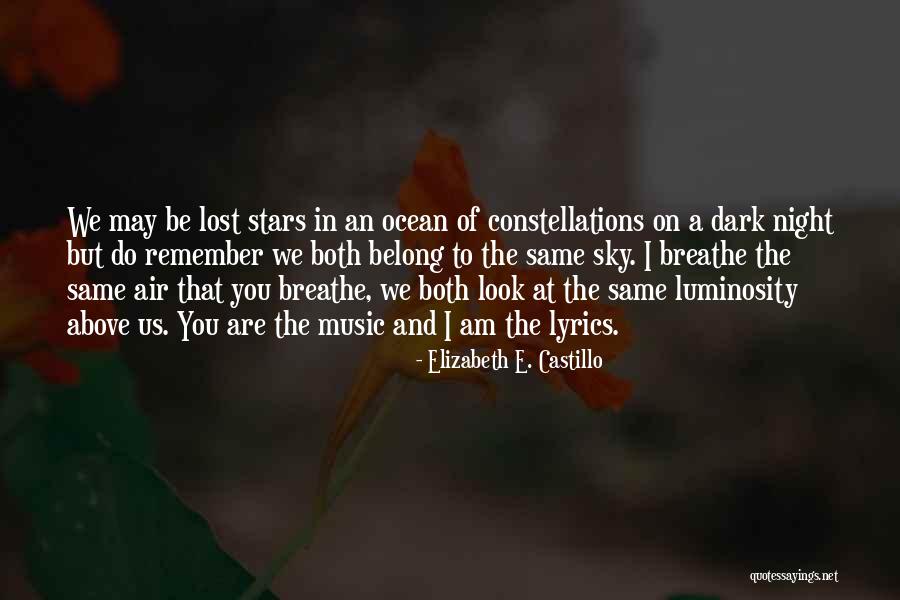 The Stars In The Night Sky Quotes By Elizabeth E. Castillo