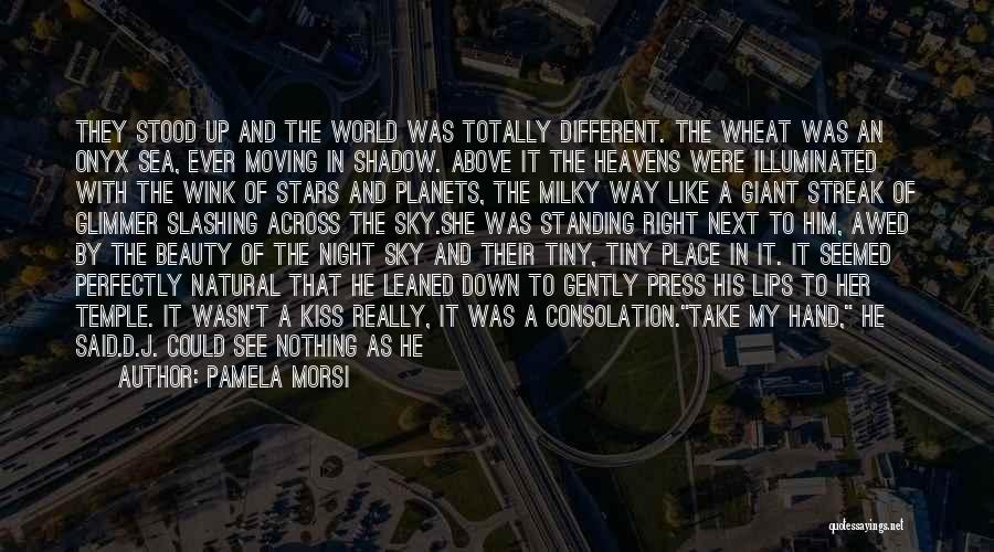 The Stars In The Night Sky Quotes By Pamela Morsi