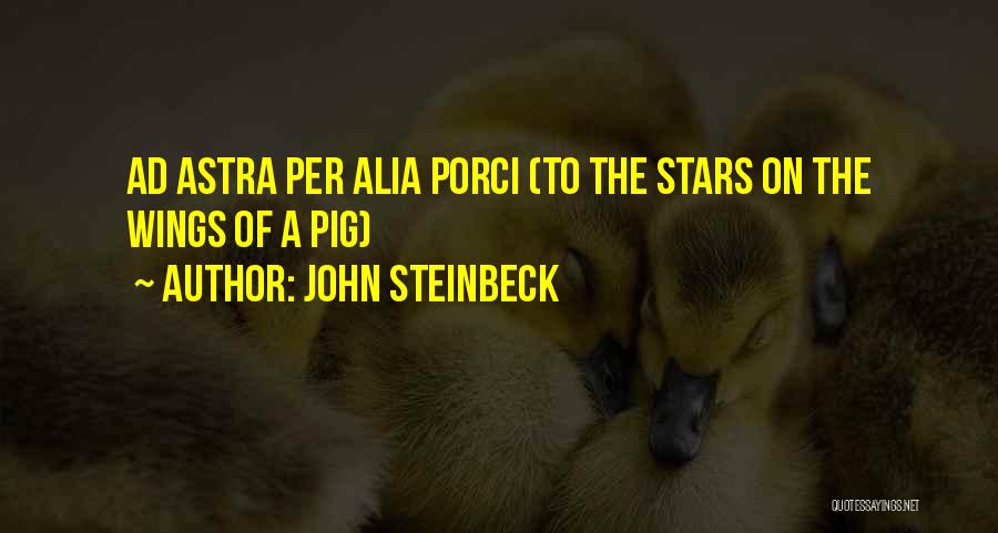 The Stars Quotes By John Steinbeck