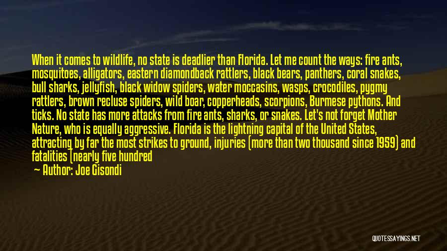The State Of Florida Quotes By Joe Gisondi
