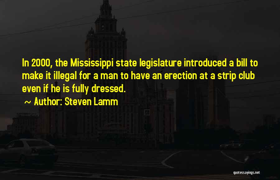 The State Of Mississippi Quotes By Steven Lamm