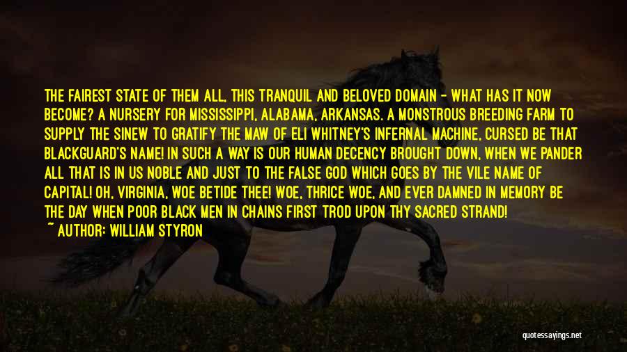 The State Of Mississippi Quotes By William Styron