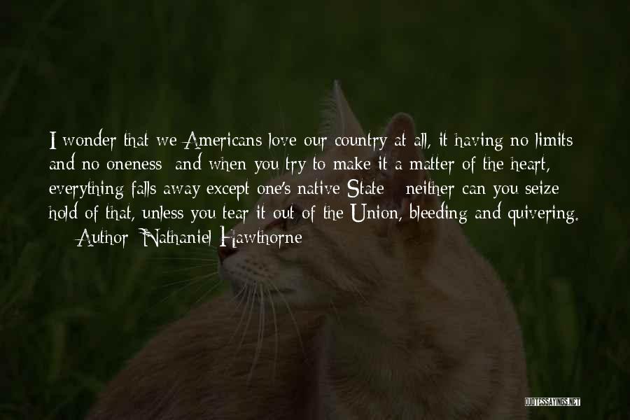 The State Of The Union Quotes By Nathaniel Hawthorne