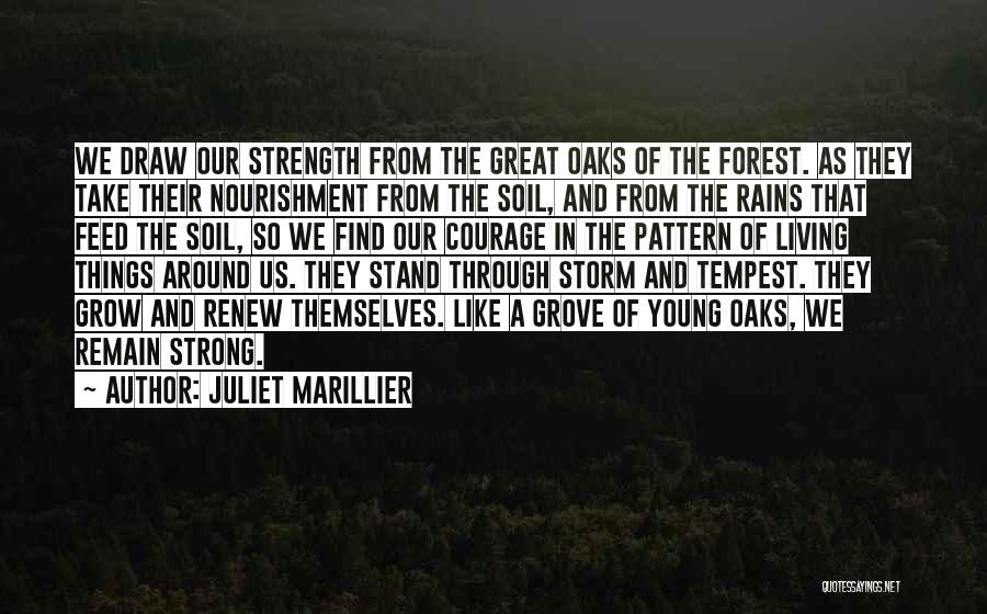 The Storm In The Tempest Quotes By Juliet Marillier