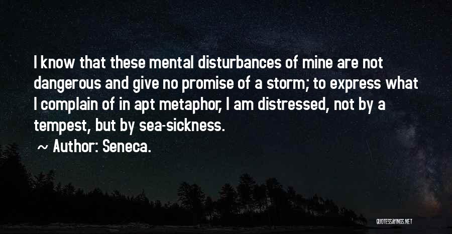 The Storm In The Tempest Quotes By Seneca.