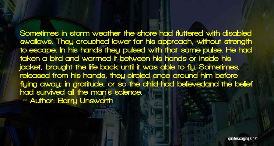 The Storm Inside Quotes By Barry Unsworth