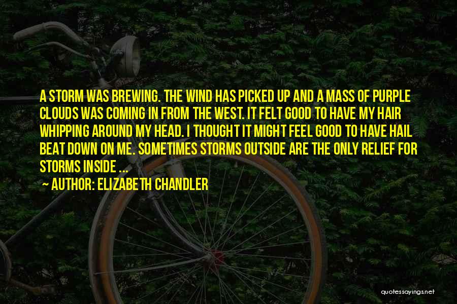 The Storm Inside Quotes By Elizabeth Chandler