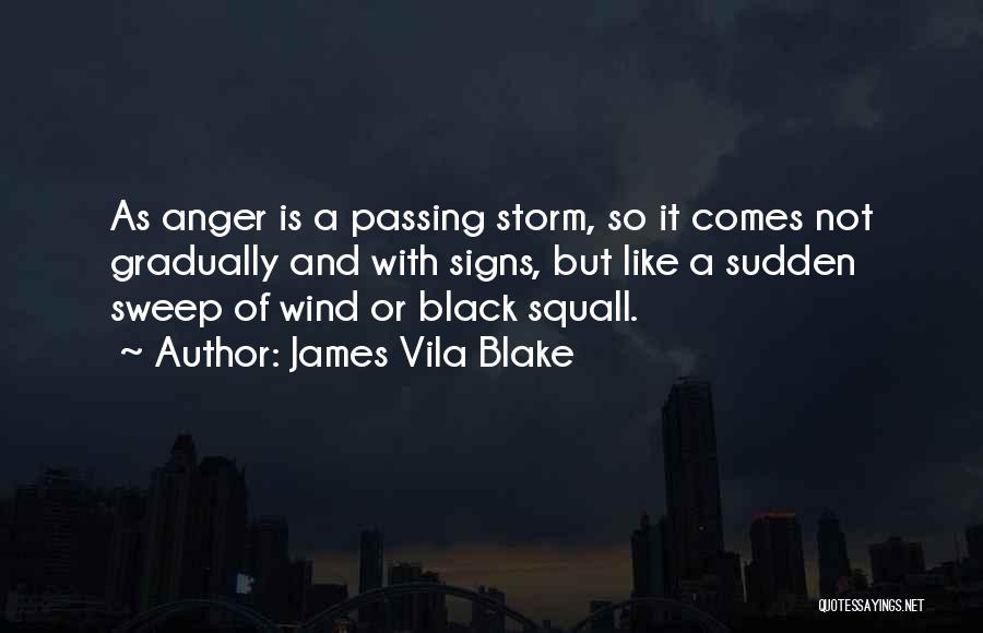 The Storm Passing Quotes By James Vila Blake