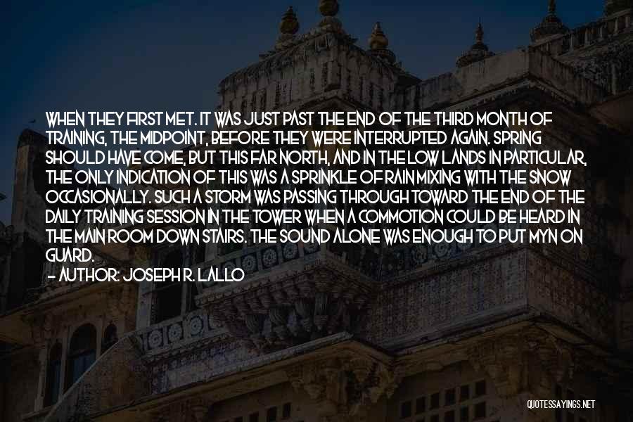 The Storm Passing Quotes By Joseph R. Lallo