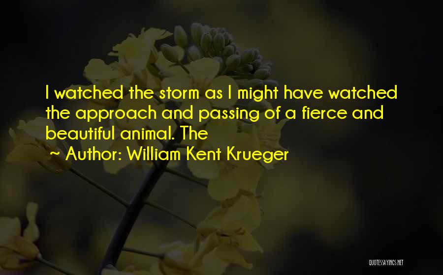 The Storm Passing Quotes By William Kent Krueger