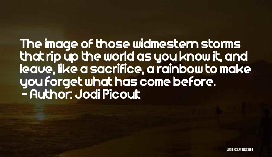 The Storms Of Life Quotes By Jodi Picoult