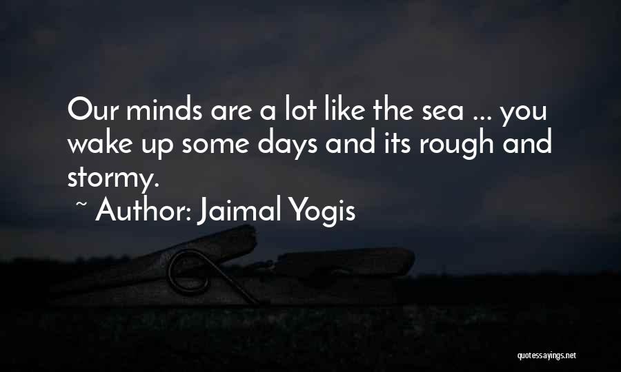 The Stormy Sea Quotes By Jaimal Yogis