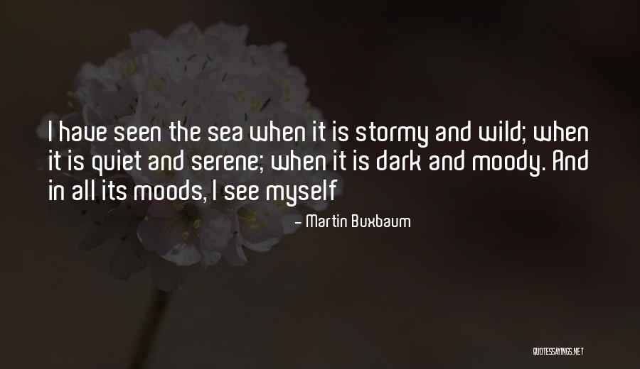 The Stormy Sea Quotes By Martin Buxbaum