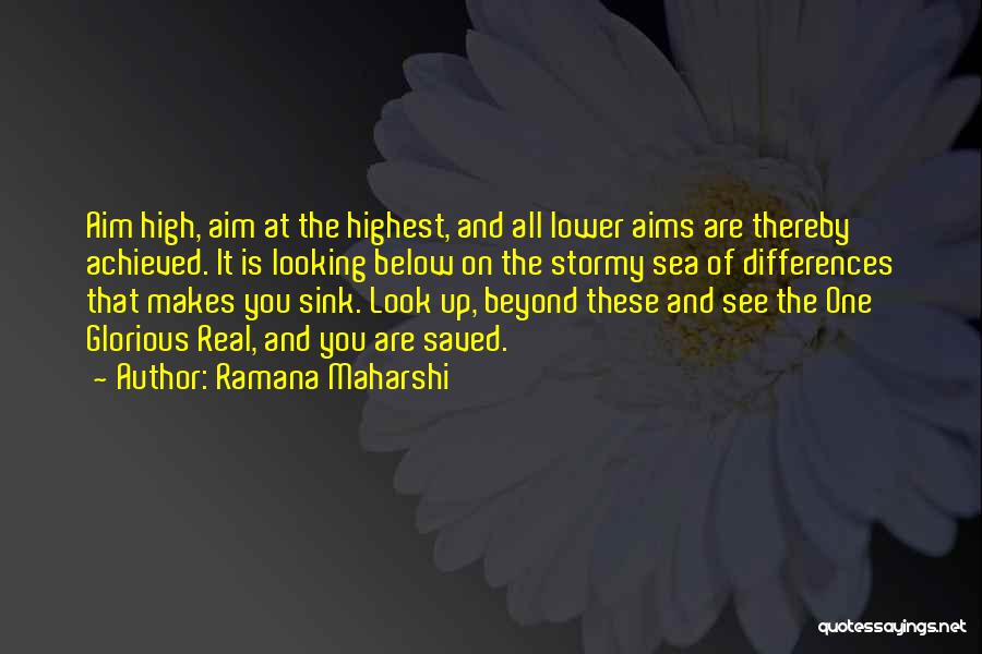 The Stormy Sea Quotes By Ramana Maharshi