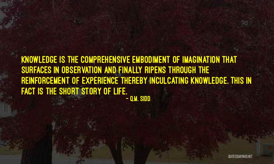 The Story Of Philosophy Quotes By Q.M. Sidd The Story Of Philosophy Quotes By Q.M. Sidd