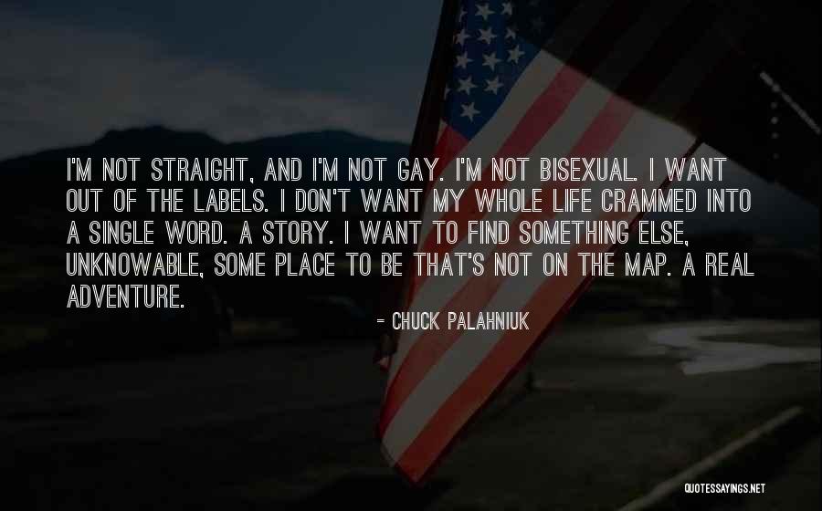 The Straight Story Quotes By Chuck Palahniuk The Straight Story Quotes By Chuck Palahniuk