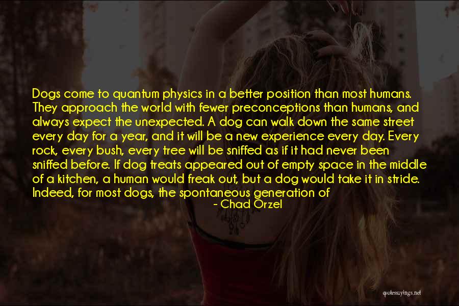 The Street Quotes By Chad Orzel The Street Quotes By Chad Orzel