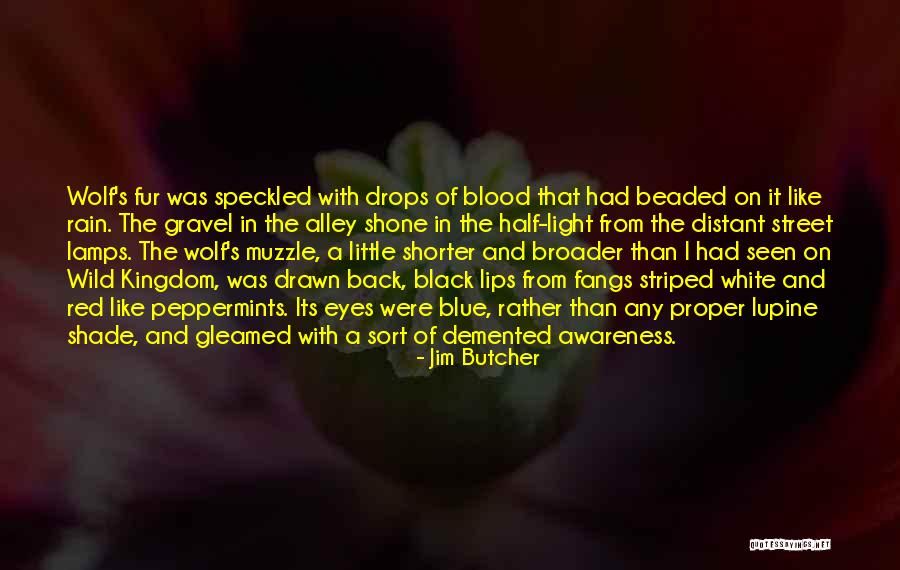 The Street Quotes By Jim Butcher The Street Quotes By Jim Butcher