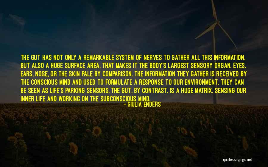 The Subconscious Quotes By Giulia Enders The Subconscious Quotes By Giulia Enders