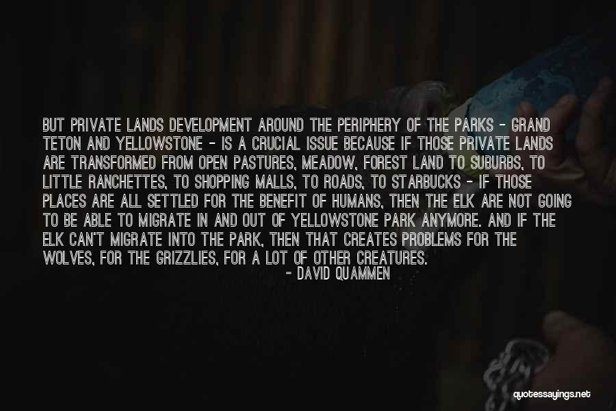 The Suburbs Quotes By David Quammen The Suburbs Quotes By David Quammen