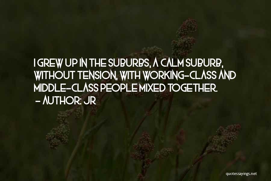 The Suburbs Quotes By JR