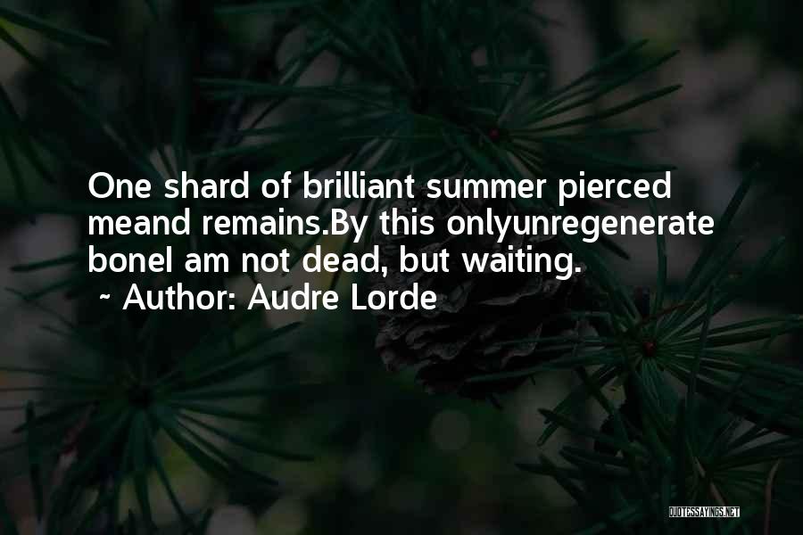 The Summer Remains Quotes By Audre Lorde