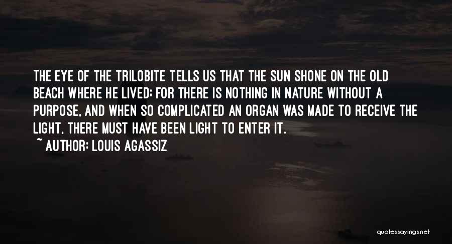 The Sun And Beach Quotes By Louis Agassiz