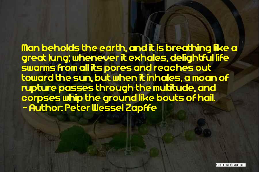 The Sun And Earth Quotes By Peter Wessel Zapffe